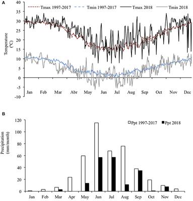 Incorporating a Fresh Mixed Annual Ryegrass and Berseem Clover Forage Into the Winter Diet of Dairy Cows Resulted in Reduced Milk Yield, but Reduced Nitrogen Excretion and Reduced Methane Yield